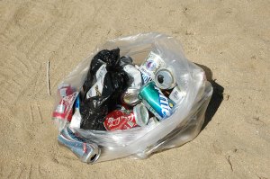 beachtrash