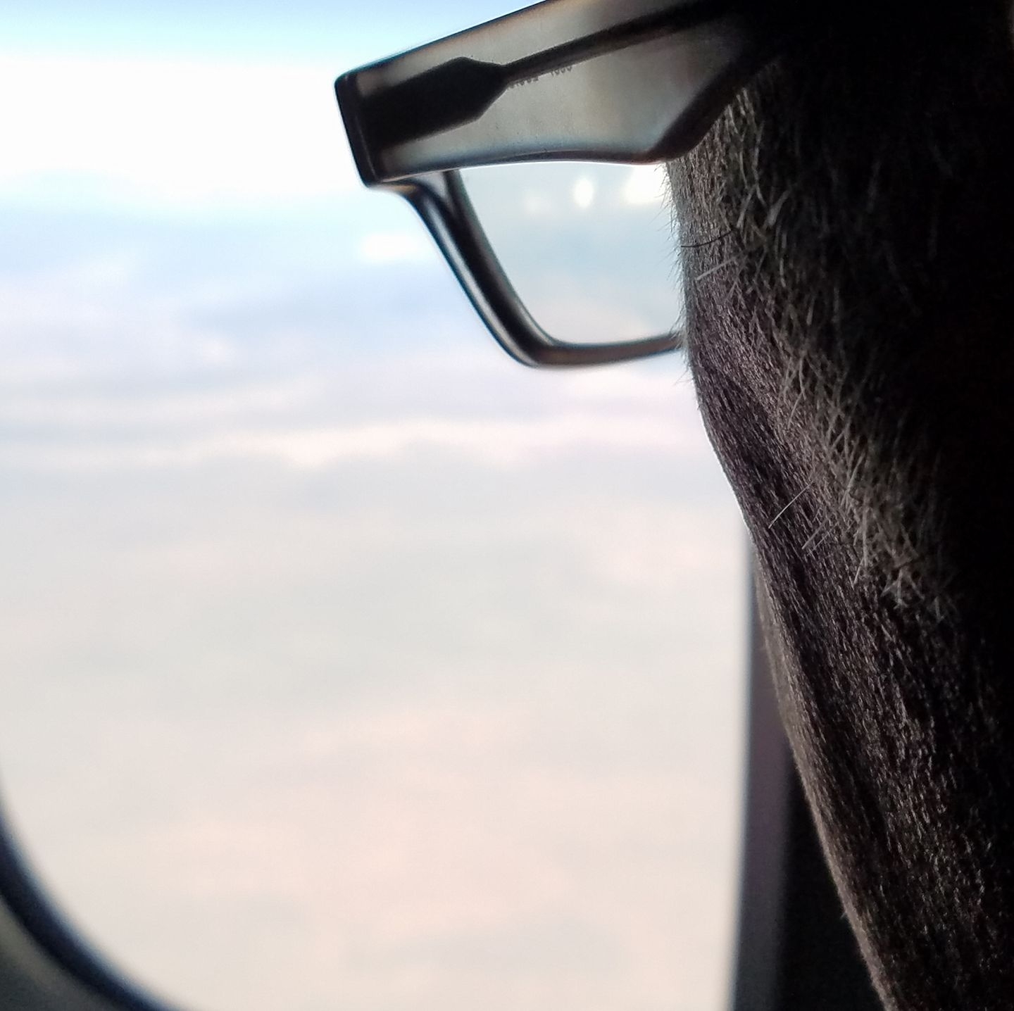 Looking out at the world