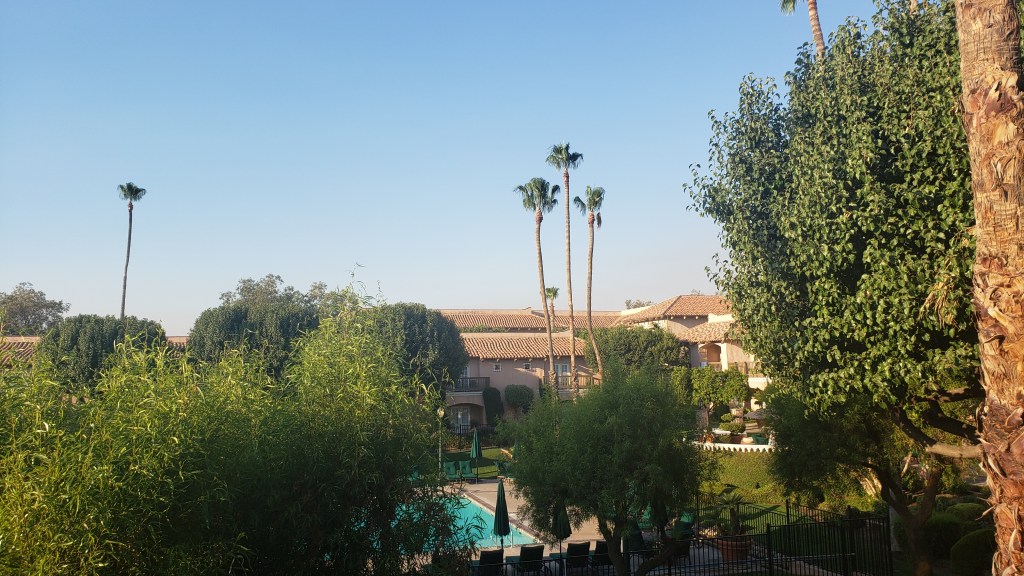 View of pool, palm trees and lush green grass from balcony