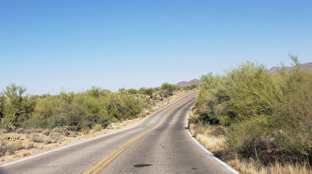 two lane road leading to museum lined with desert vegetation