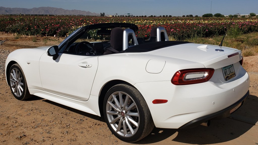 car in front of rose field